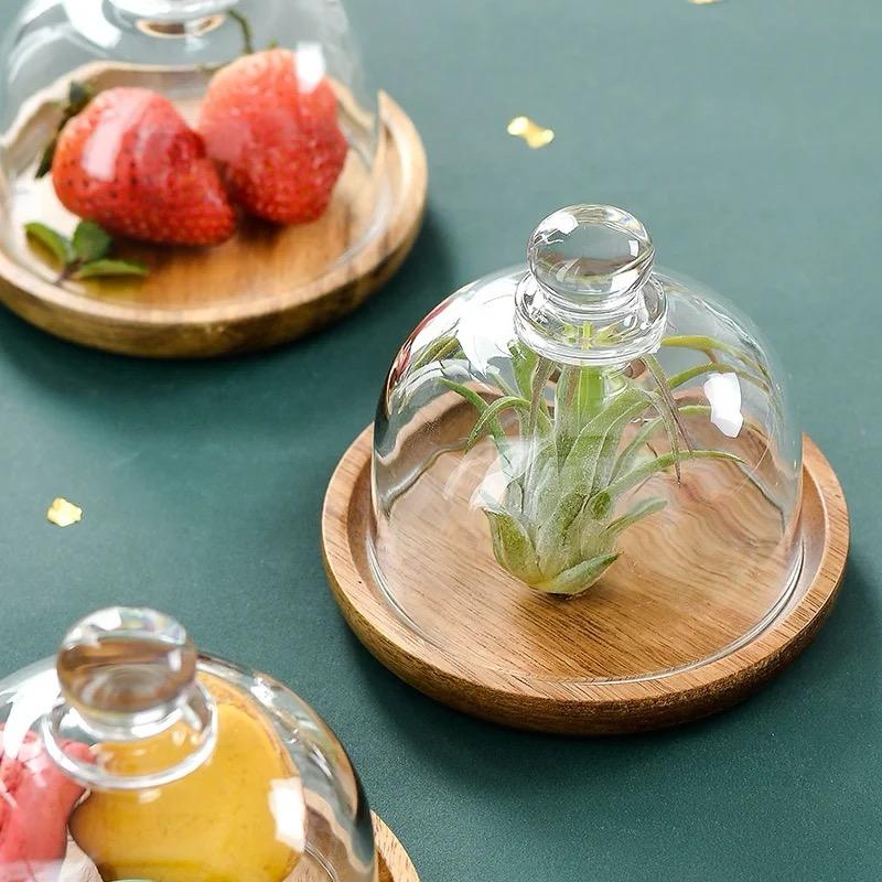 Wooden Dessert Plate With Glass Dome