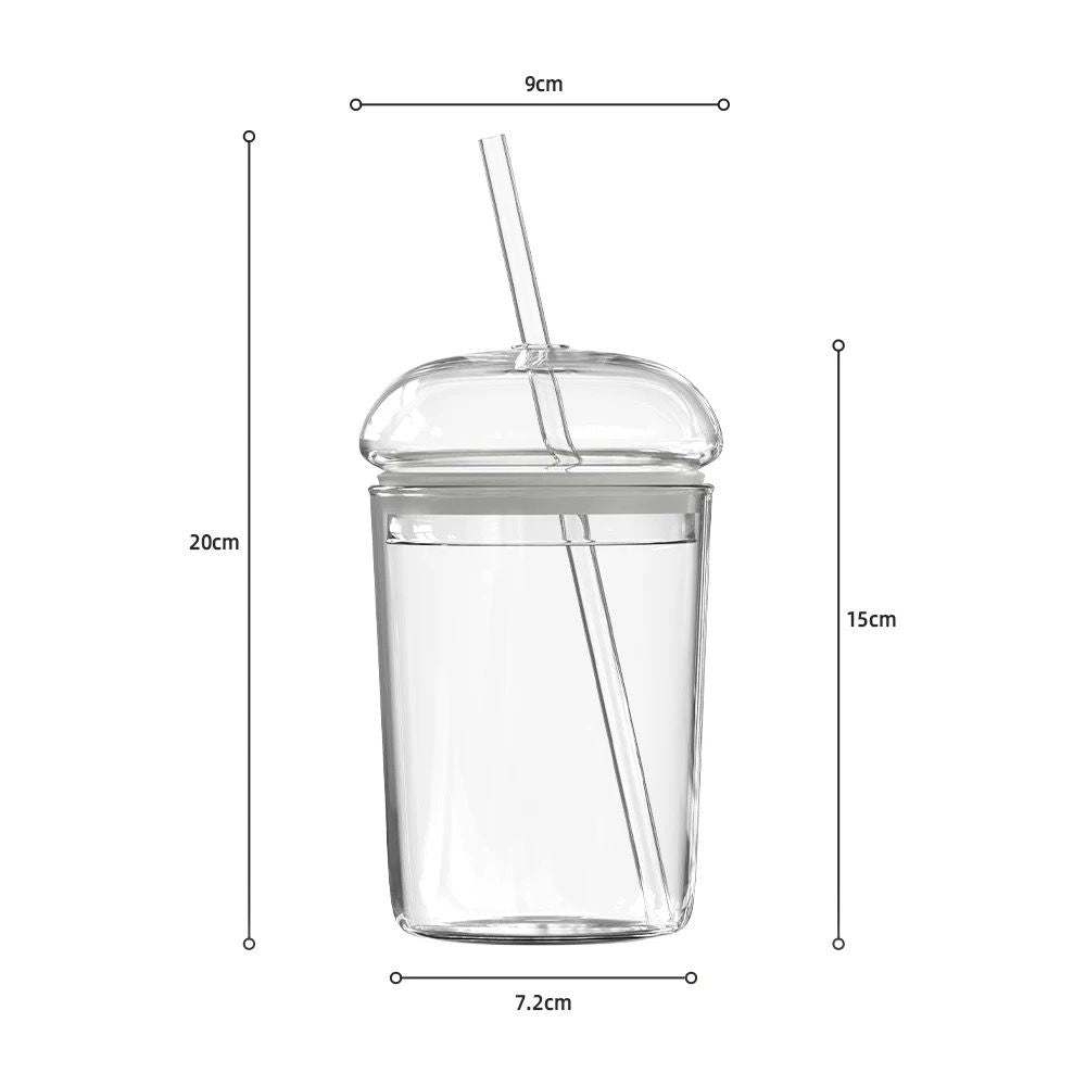 Glass Cup with Lid & Straw