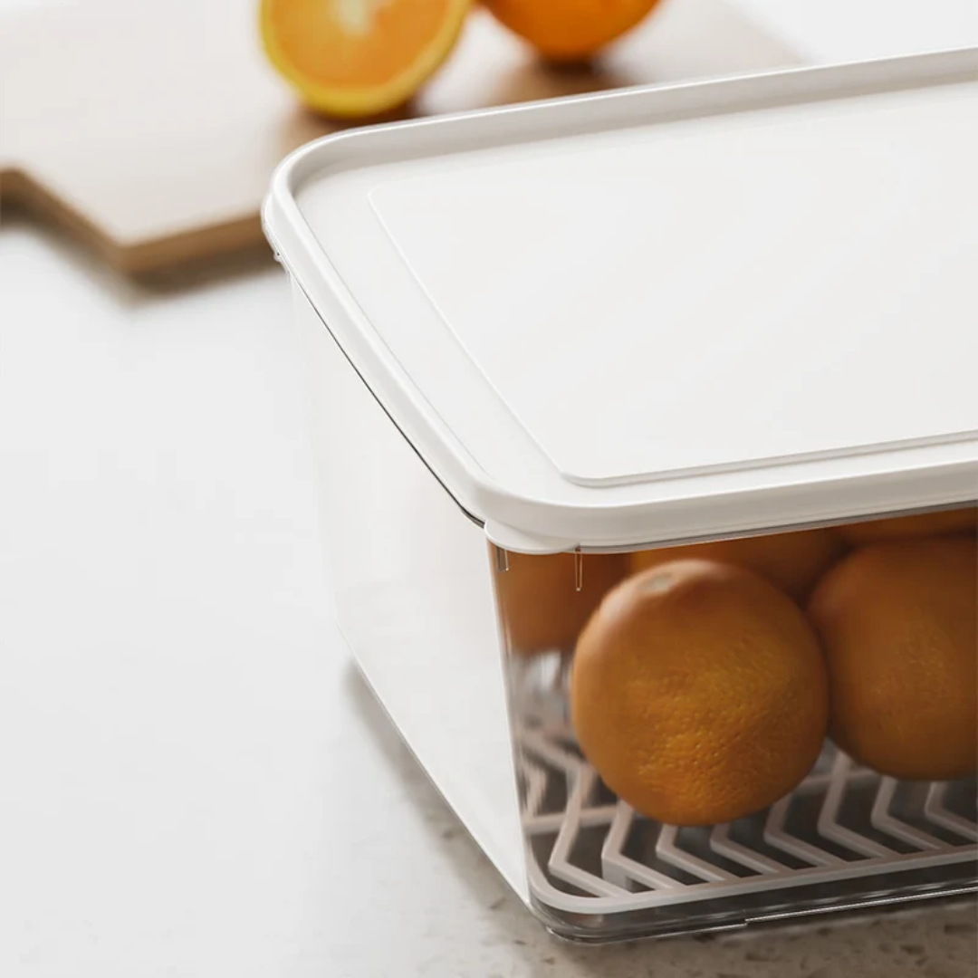 EasyDrain Storage Container| BPA Free Plastic