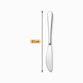 Mirror finish stainless steel table knife length 21 cm