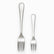 Mirror-polished stainless steel dinner fork and smaller dessert fork side by side