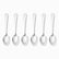 Six mirror-polished stainless steel table spoons lined up in a row